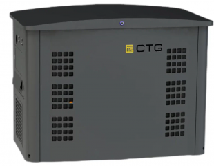 Газовый генератор CTG CG17000TSA