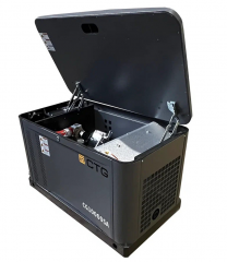 Газовый генератор CTG CG10000SA